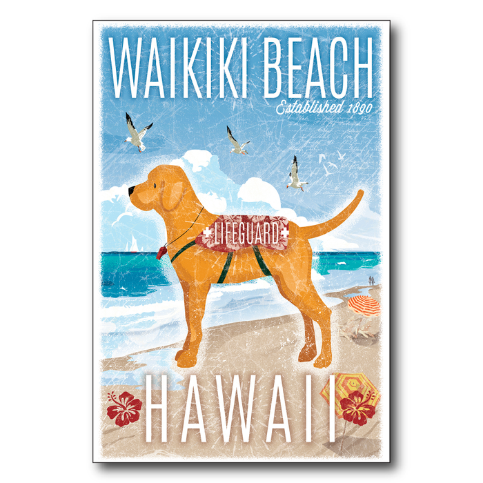 Waikiki Beach Lifeguard Dog