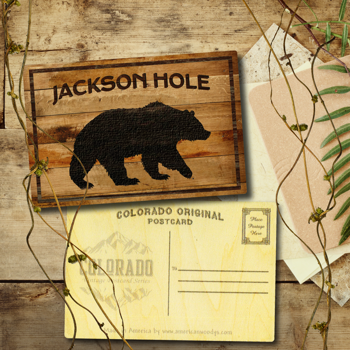 Jackson Hole Black Bear Postcard