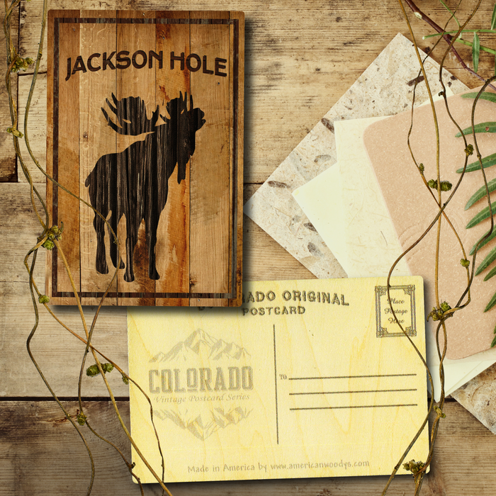 Jackson Hole Bellowing Moose Postcard