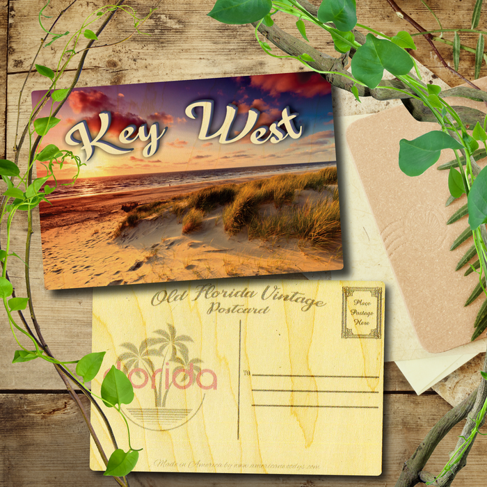 Key West Dune Sunset Postcard