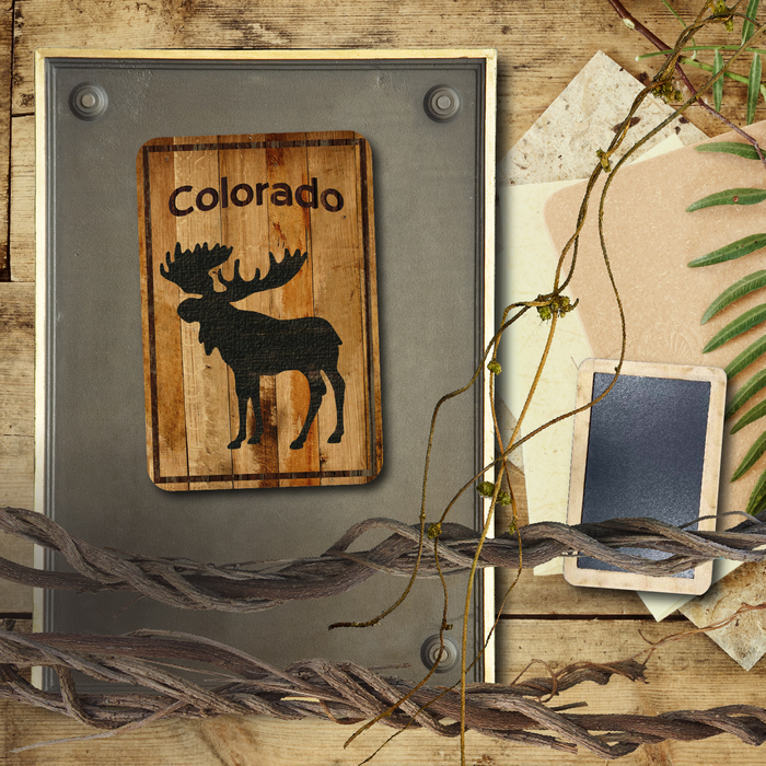 Colorado Standing Moose Magnet