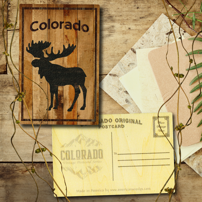 Colorado Standing Moose Postcard