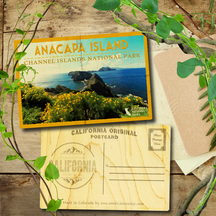 Anacapa Island Postcard