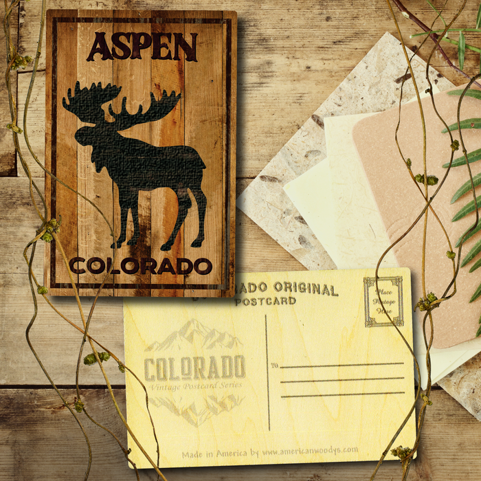 Aspen Standing Moose Postcard