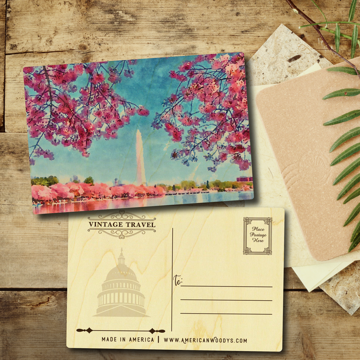 Cherry Blossoms in Washington Postcard