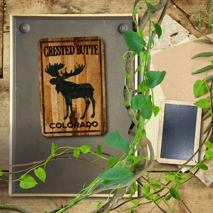 Crested Butte Standing Moose