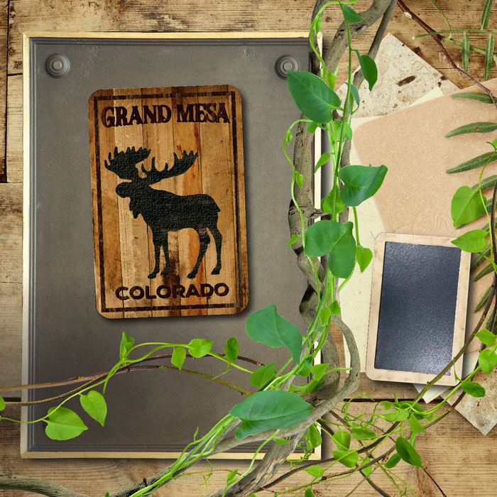 Grand Mesa Standing Moose