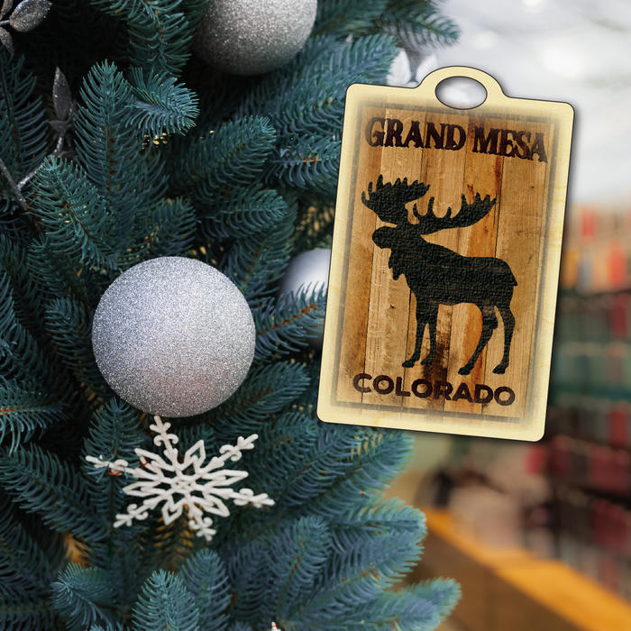 Grand Mesa Standing Moose