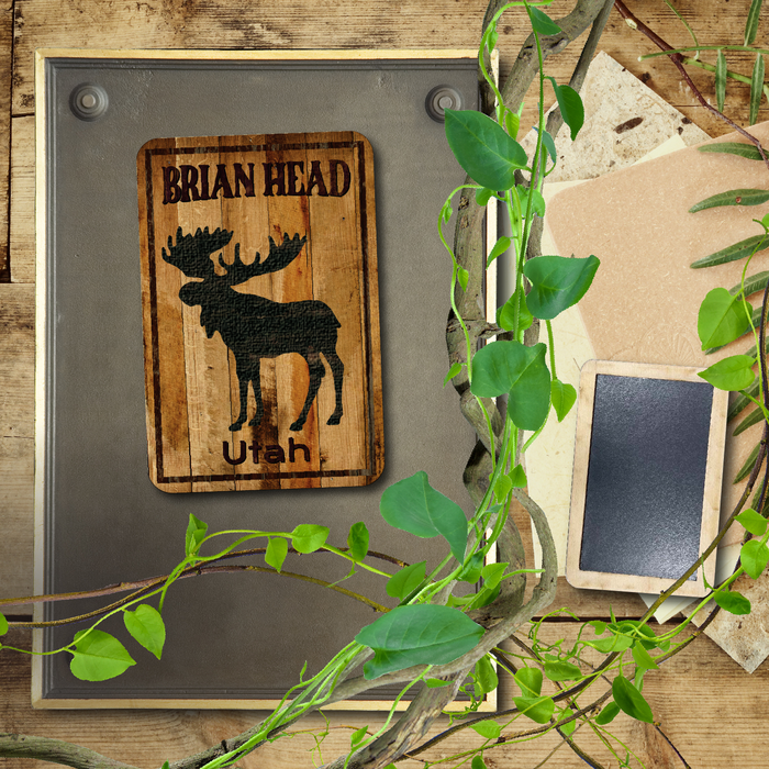 Brian Head Standing Moose