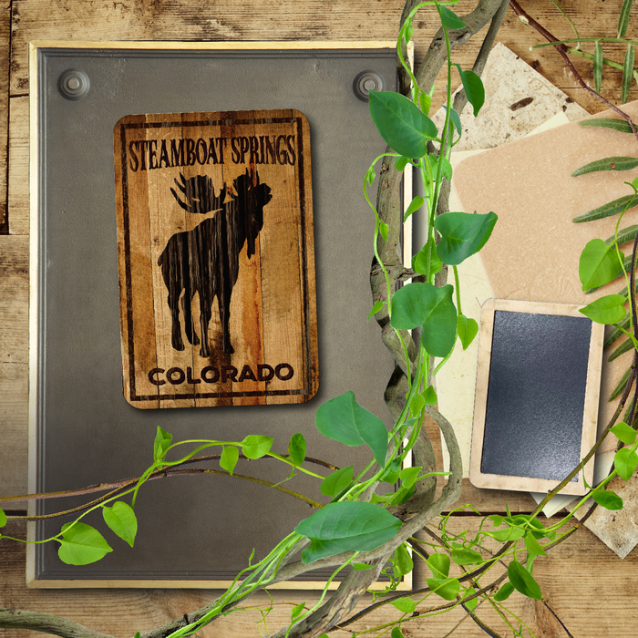 Steamboat Springs Bellowing Moose