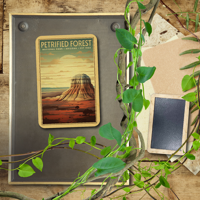 Petrified Forest National Park