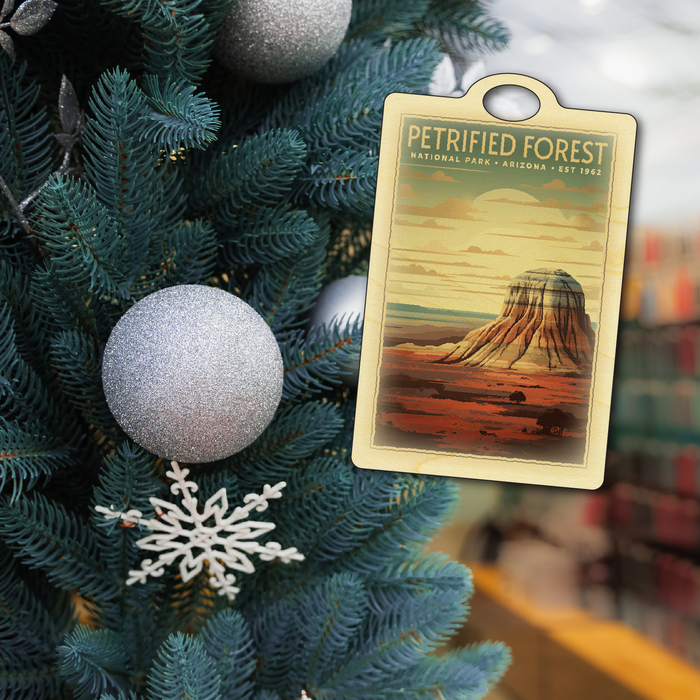 Petrified Forest National Park