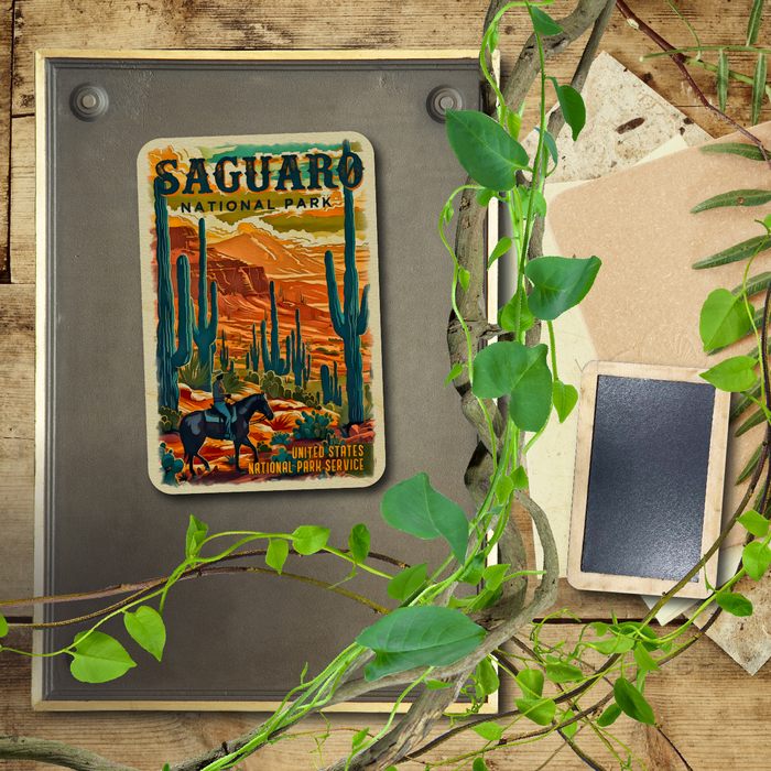 Saguaro US National Park