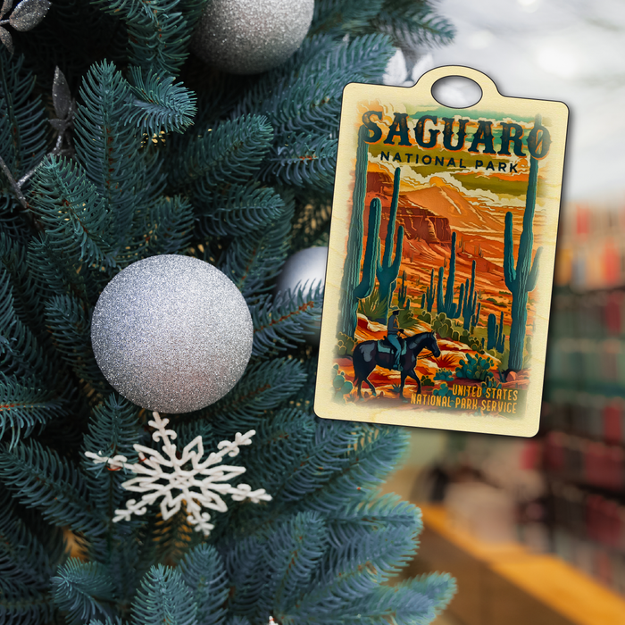 Saguaro US National Park