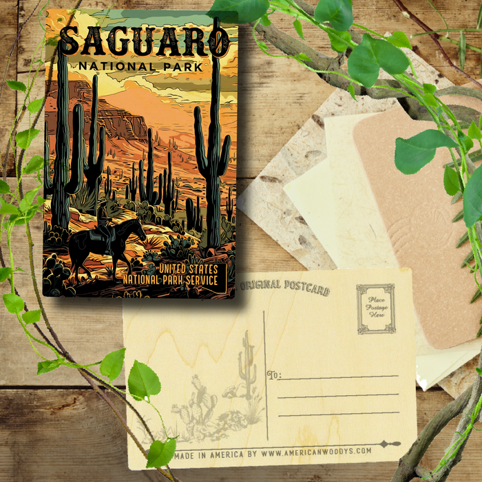 Saguaro US National Park Dark