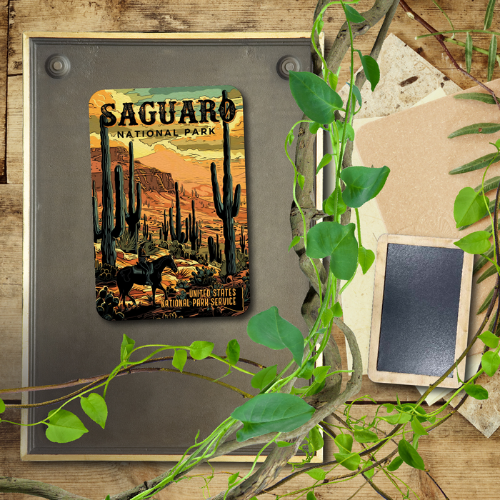 Saguaro US National Park Dark