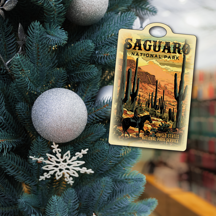 Saguaro US National Park Dark