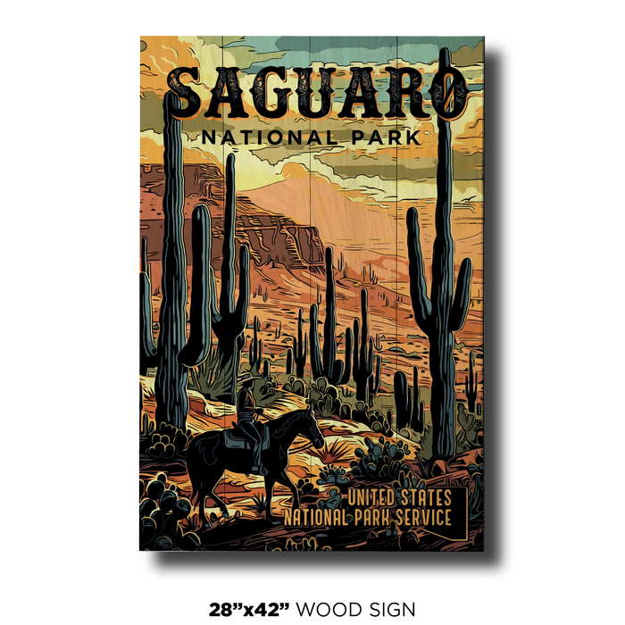 Saguaro US National Park Dark