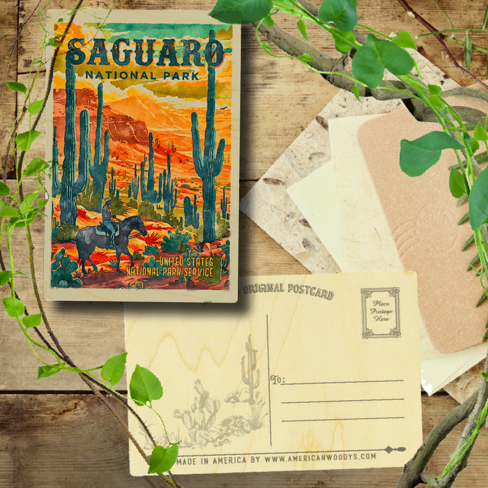 Saguaro US National Park Bright