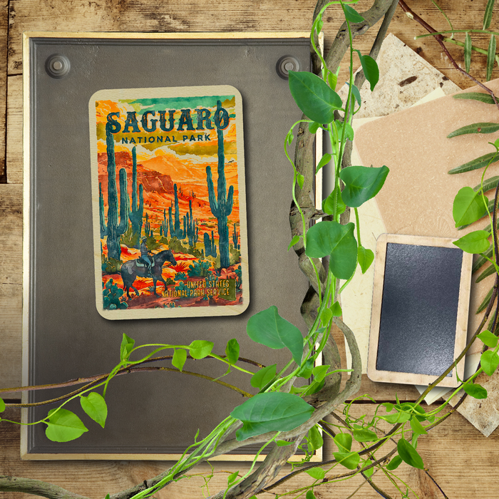 Saguaro US National Park Bright