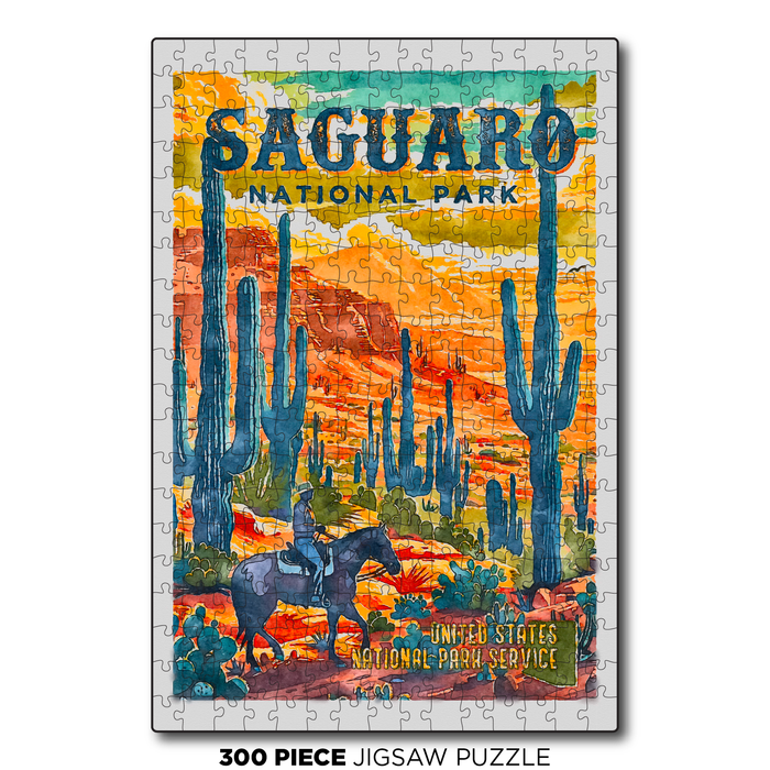 Saguaro US National Park Bright