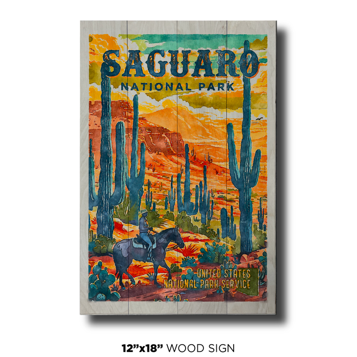 Saguaro US National Park Bright