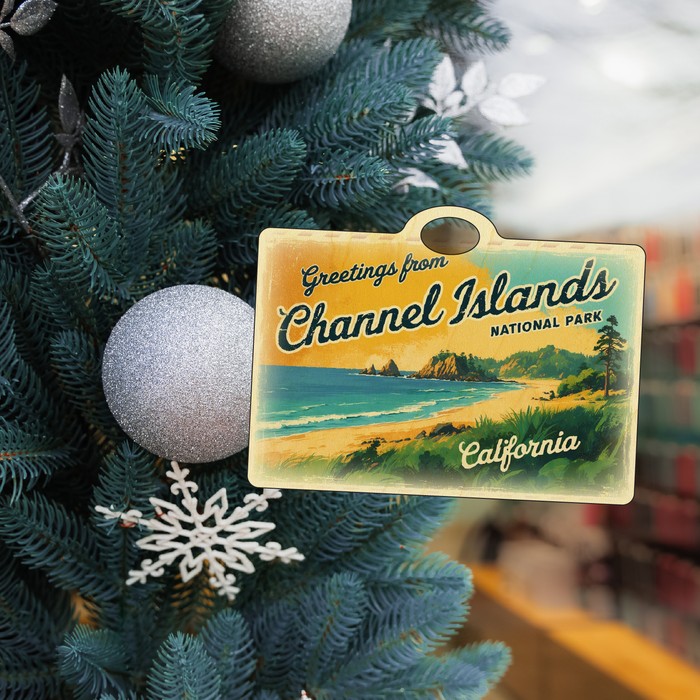 Greetings from Channel Islands