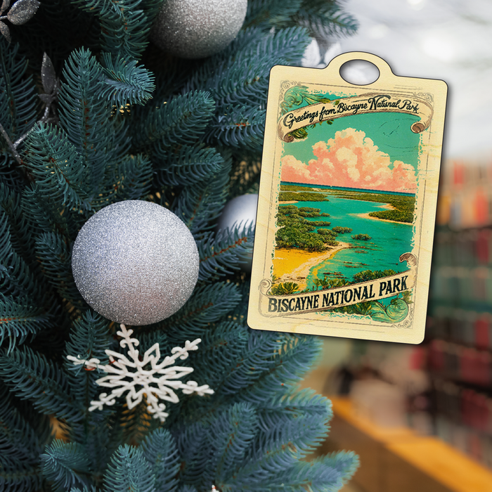 Greetings from Biscayne