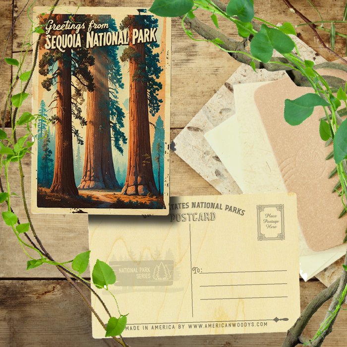 Greetings from Sequoia