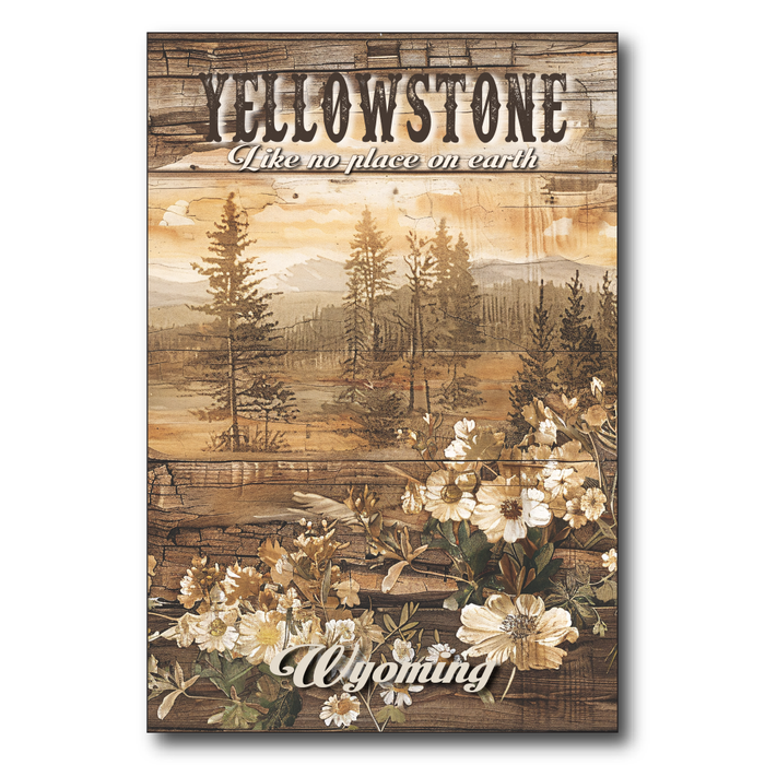 Yellowstone Flowers
