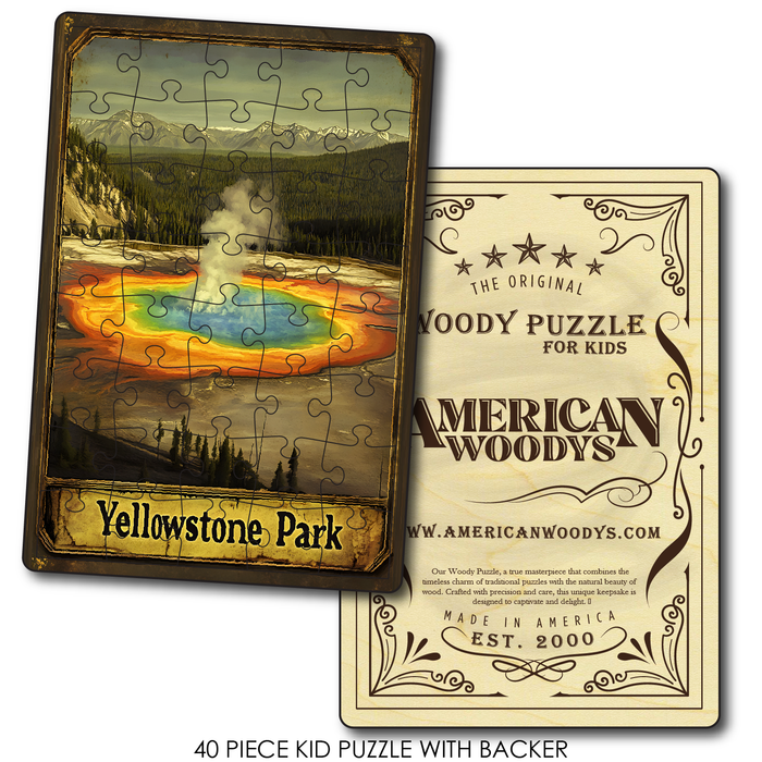 Yellowstone Park Geyser
