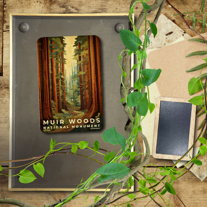 Muir Woods, CA - Quilted