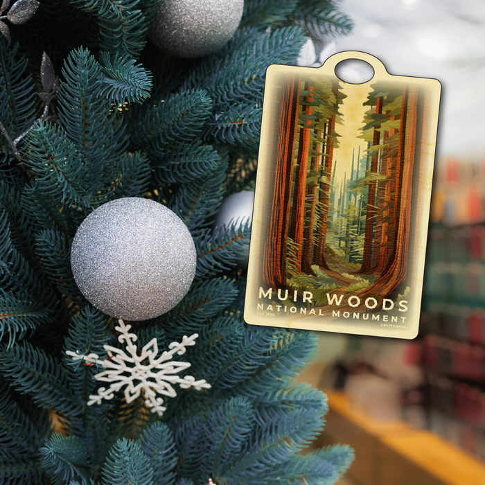 Muir Woods, CA - Quilted