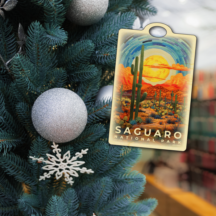 Saguaro National Park - Quilted 2