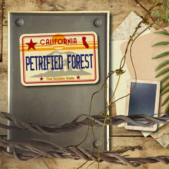 CA License Plate Petrified Forest