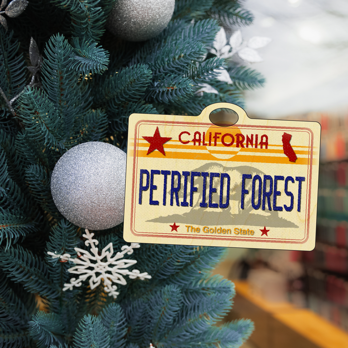 CA License Plate Petrified Forest