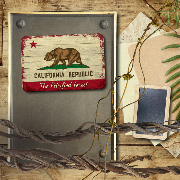 CA Republic Petrified Forest
