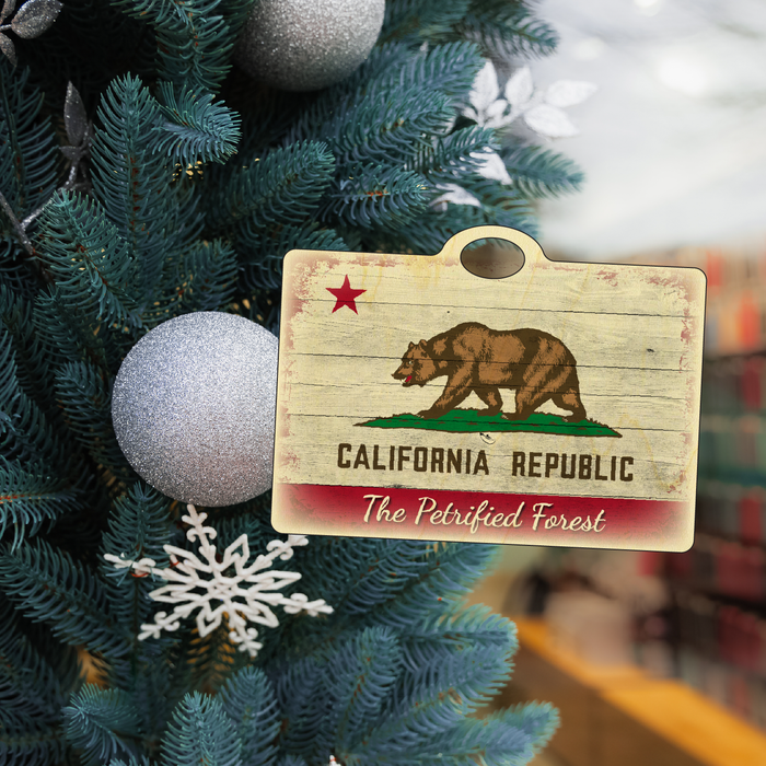 CA Republic Petrified Forest