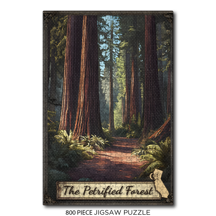 CA Petrified Forest Walk