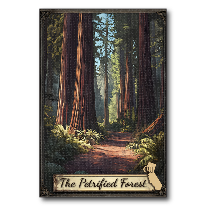 CA Petrified Forest Walk