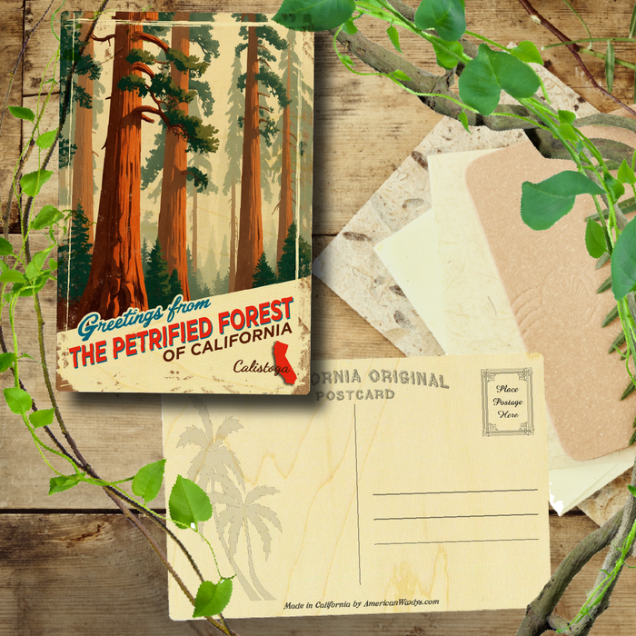 Greetings from The Petrified Forest