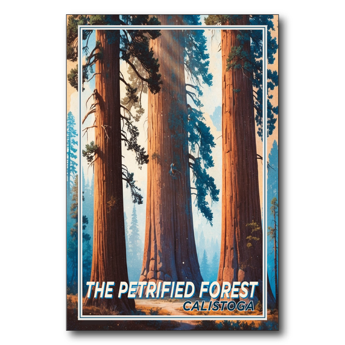 Petrified Forest Calistoga