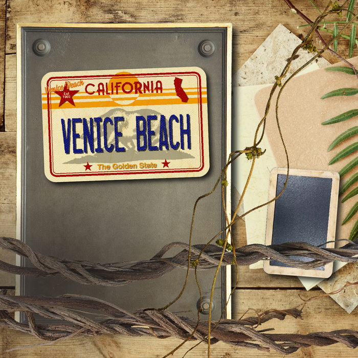 CA License Plate Venice Beach