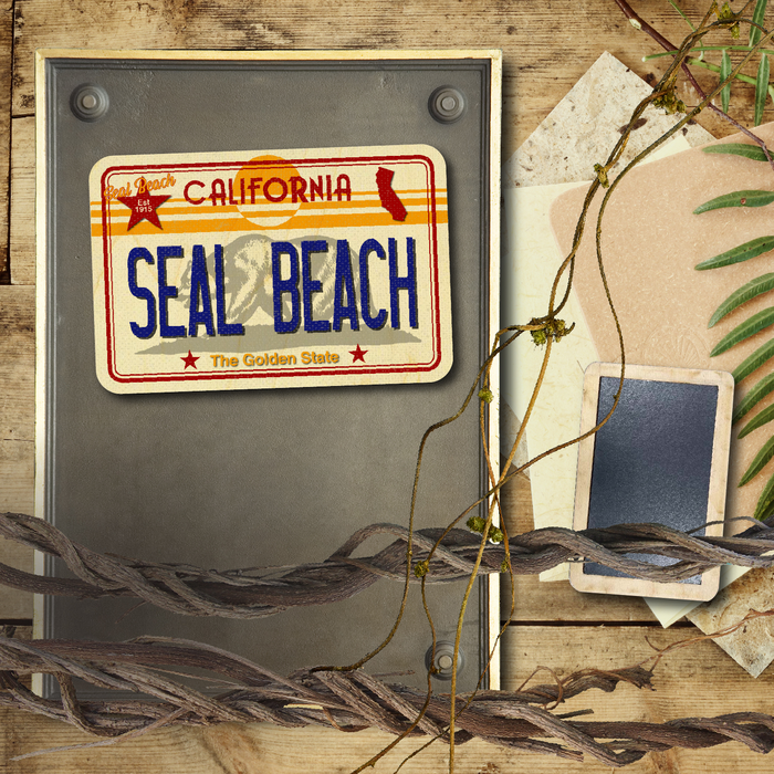 CA License Plate Seal Beach