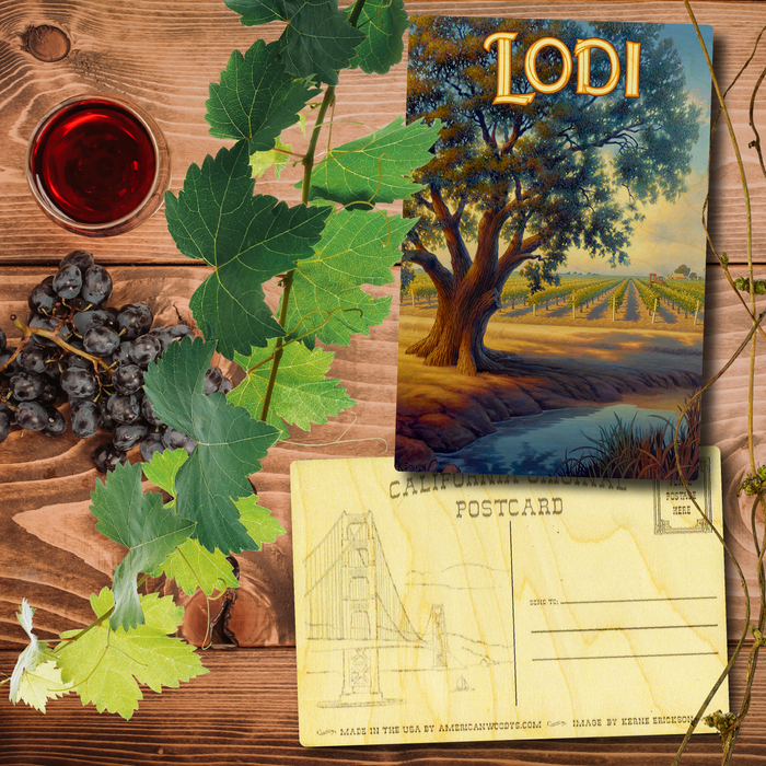 Lodi Postcard