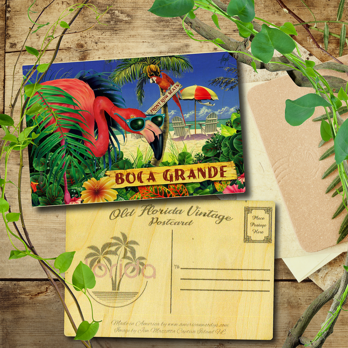 Boca Grand Flamingo Postcard