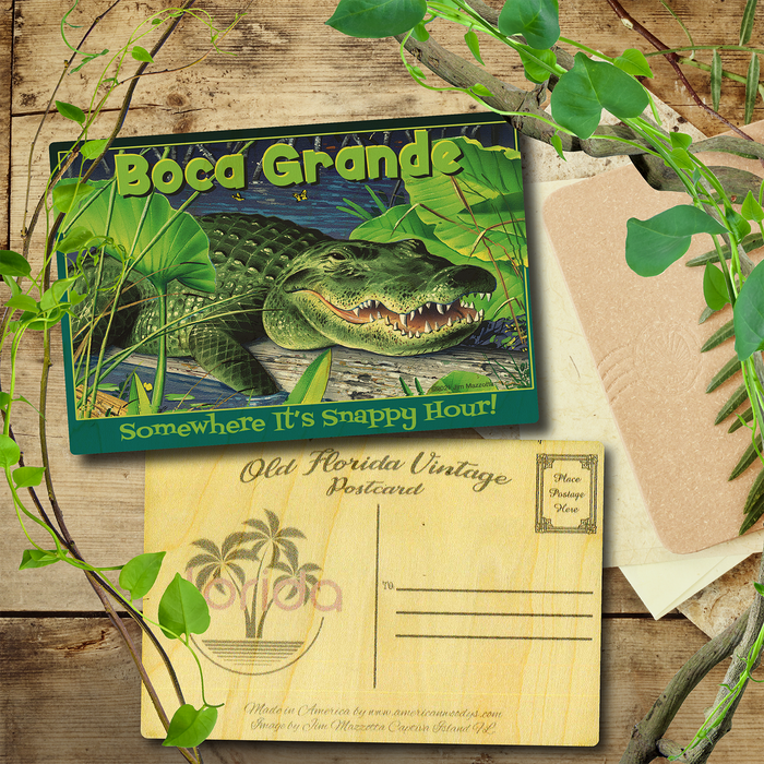 Boca Grande Snappy Hour Postcard