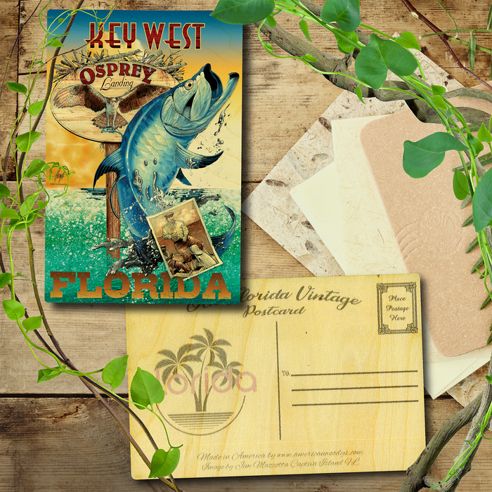 Key West Tarpon Postcard