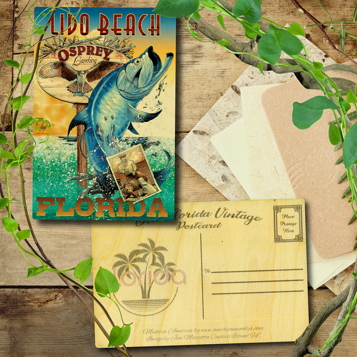 Lido Key Tarpon Postcard