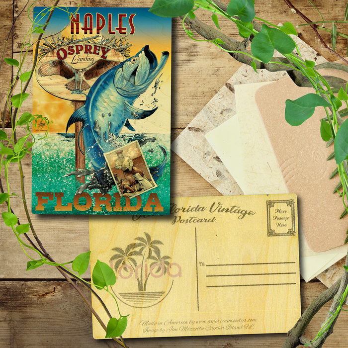 Naples Tarpon Postcard